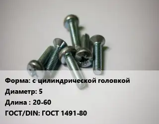 Винт с цилиндрической головкой 5х20-60 ГОСТ 1491-80